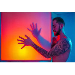 The Male Muse Livre photo PULP n°5